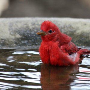 Meet your Posher, Joanne